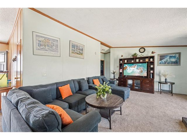 265 Trout Rd, Fairplay, CO 80440