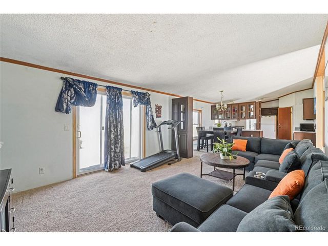 265 Trout Rd, Fairplay, CO 80440