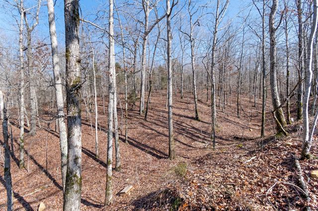 2800 Hurricane Creek Rd, N, Mc Ewen, TN 37101