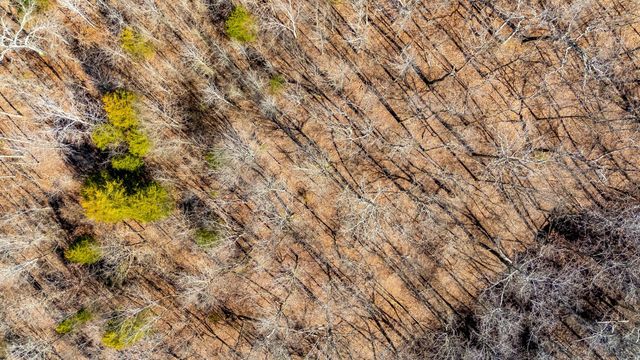 2800 Hurricane Creek Rd, N, Mc Ewen, TN 37101