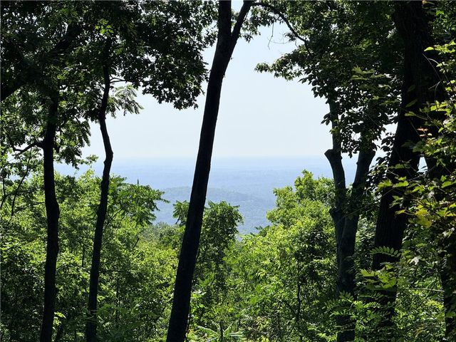 147 Raptor Way, Landrum, SC 29356