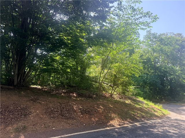 147 Raptor Way, Landrum, SC 29356
