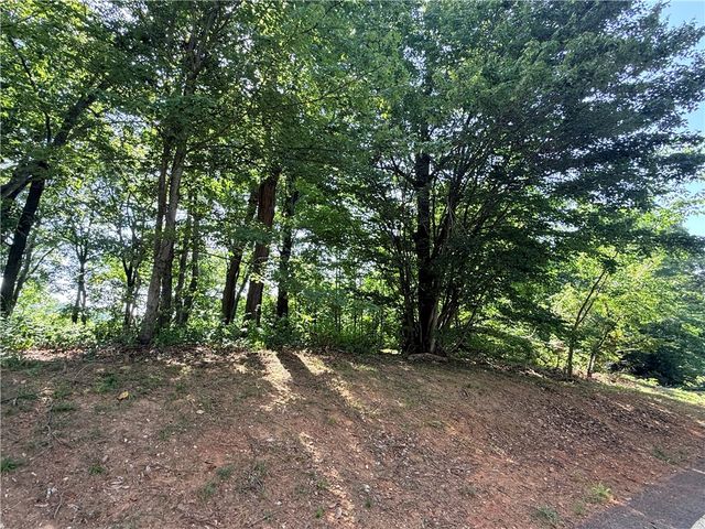 147 Raptor Way, Landrum, SC 29356