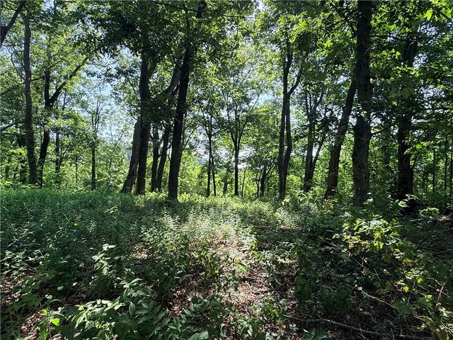 147 Raptor Way, Landrum, SC 29356