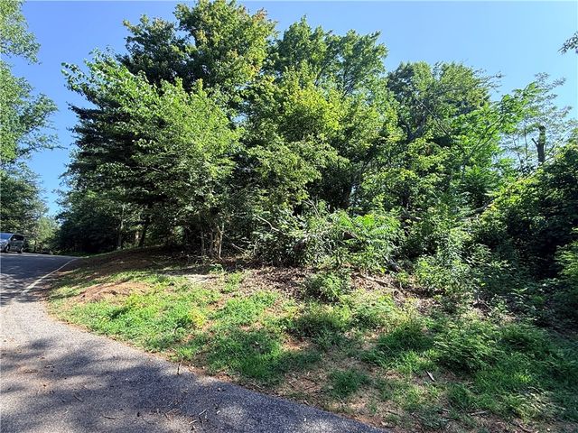 147 Raptor Way, Landrum, SC 29356