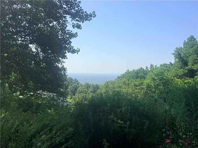 147 Raptor Way, Landrum, SC 29356