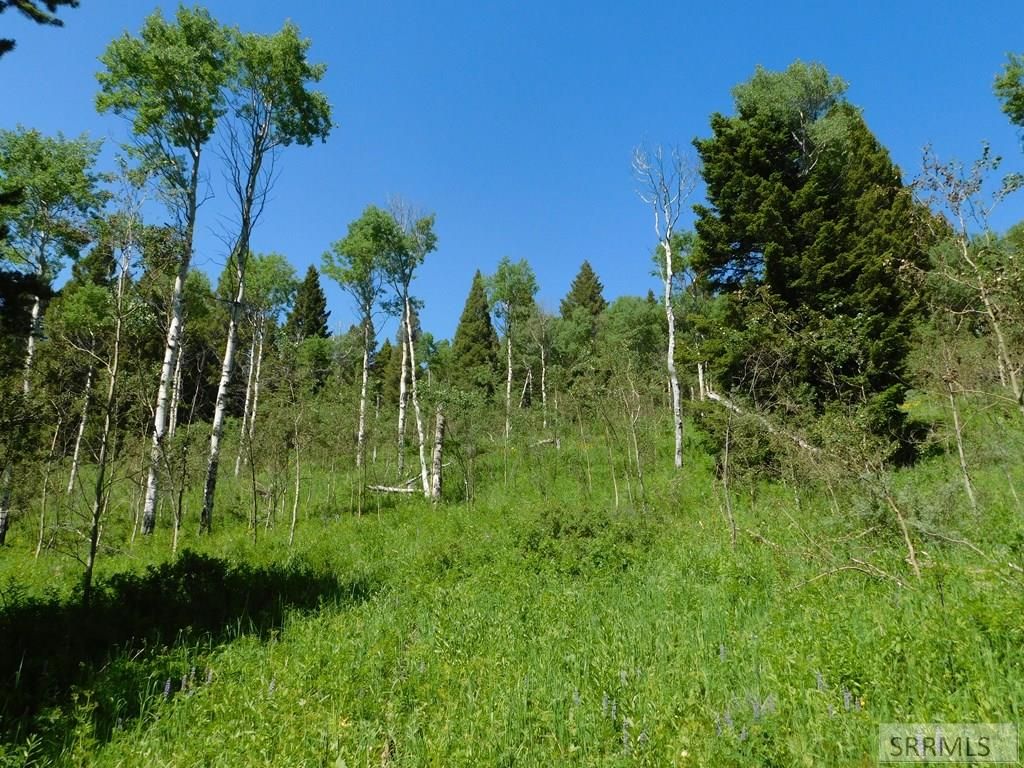 Image 2 of property listing at 4907 Shadow Wood, Island Park, ID 83429