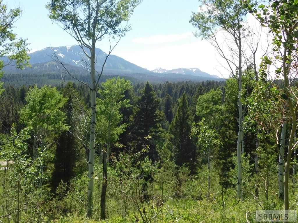 Image 5 of property listing at 4907 Shadow Wood, Island Park, ID 83429