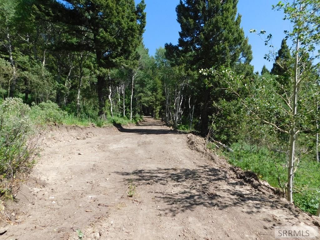 Image 7 of property listing at 4907 Shadow Wood, Island Park, ID 83429