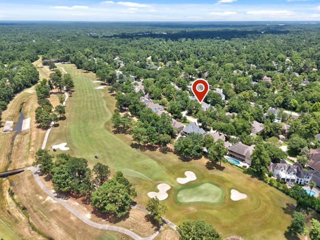 23 Shearwater Place, The Woodlands, TX 77381