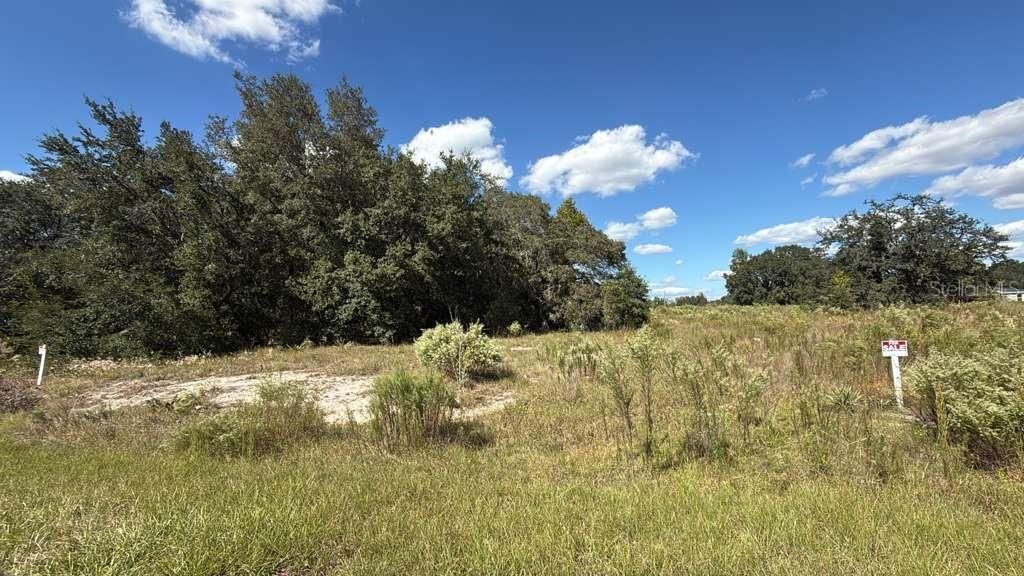 LOT 15 & 16 SW 105TH PL, Dunnellon, FL 34432