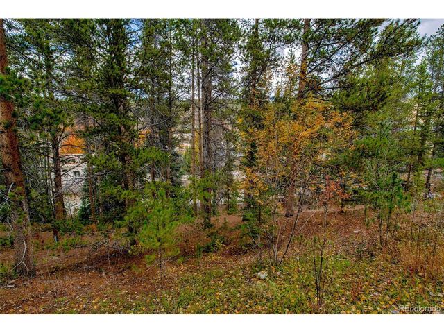 97 Lake Ridge Cir 1854, Dillon, CO 80435