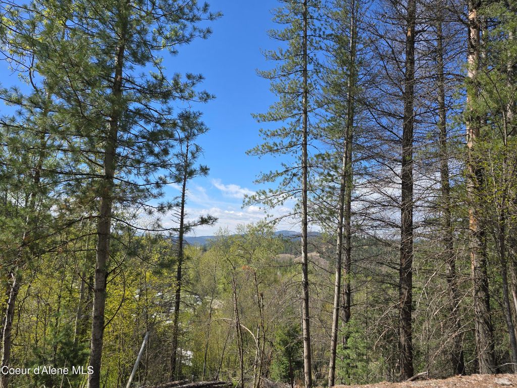 821 Lower Page RD, Smelterville, ID 83868 photo 8