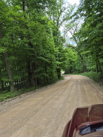18073 Sharon Valley Road, Sharon Township, MI 48158