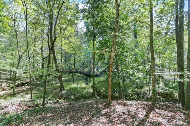 10437 Byrnes Rd, St Francisville, LA 70775