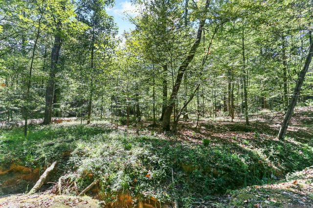 10437 Byrnes Rd, St Francisville, LA 70775