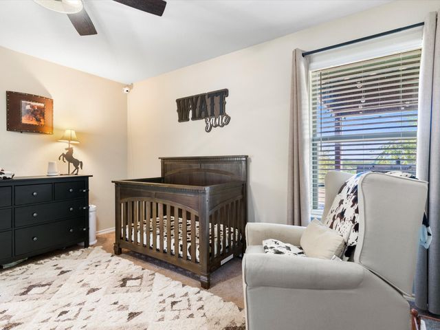 525 Brazos Hills Drive, Weatherford, TX 76087