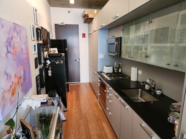 550 N St. Clair Street 1103, Chicago, IL 60611