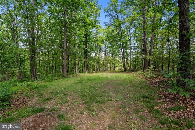 298 MCDANIEL LN, Middletown, VA 22645
