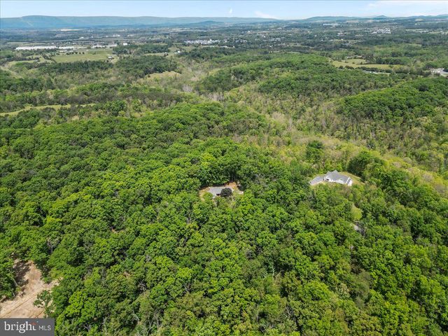 298 MCDANIEL LN, Middletown, VA 22645