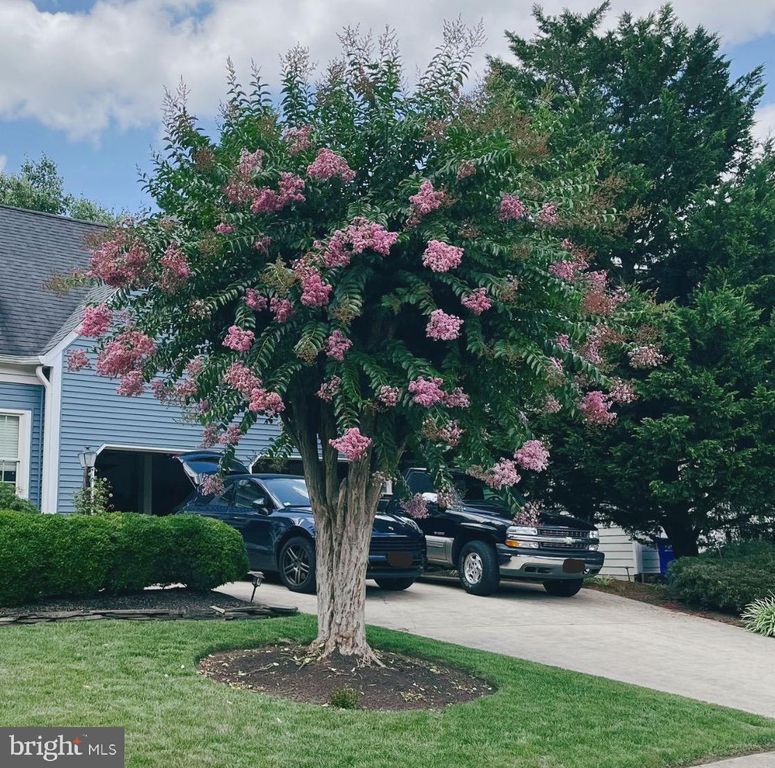 8804 NORTHERN SPRUCE LN, Alexandria, VA 22309
