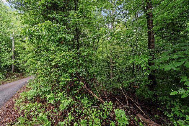 176 Bryant Lane, Pickens, SC 29671