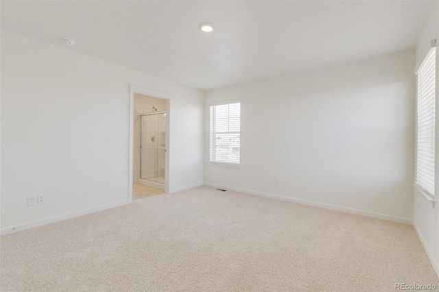 1505 Pinnacle Avenue, Brighton, CO 80603