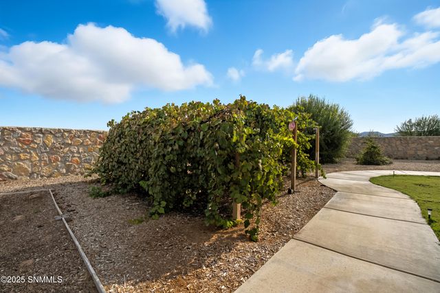 191 Plymouth Rock Road, Las Cruces, NM 88007