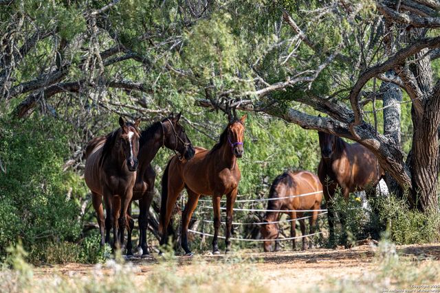 3285 Pittman Rd, St Hedwig, TX 78152