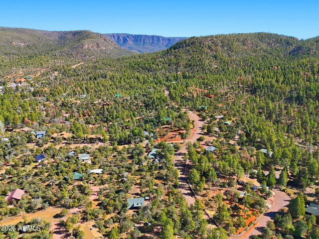 8247 W RALLS Drive, Pine, AZ 85544