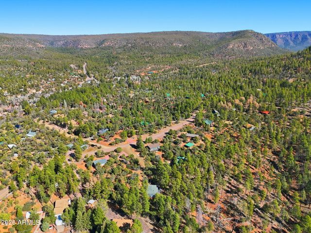 8247 W RALLS Drive, Pine, AZ 85544