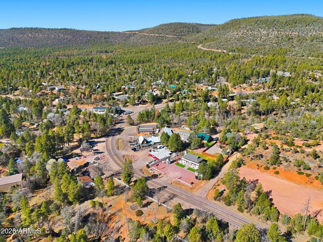 8247 W RALLS Drive, Pine, AZ 85544