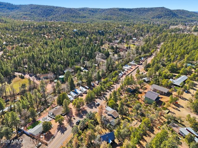 8247 W RALLS Drive, Pine, AZ 85544