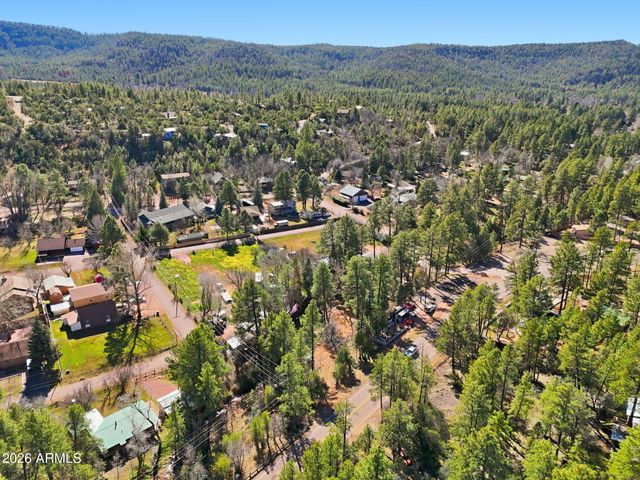 8247 W RALLS Drive, Pine, AZ 85544