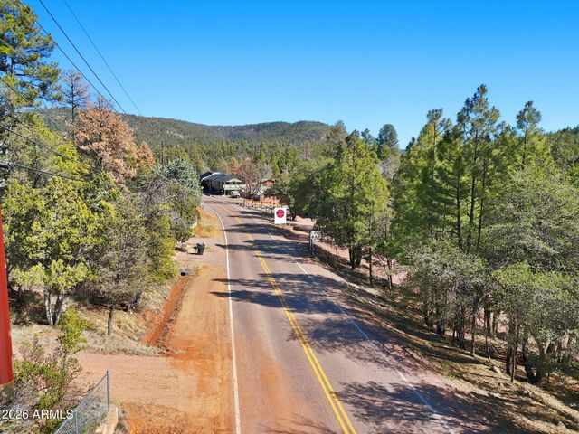 8247 W RALLS Drive, Pine, AZ 85544