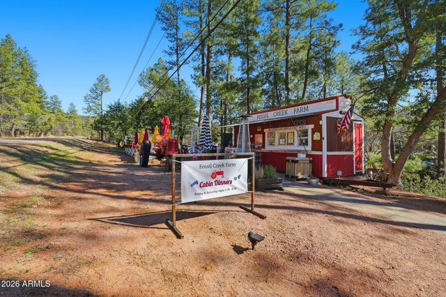 8247 W RALLS Drive, Pine, AZ 85544