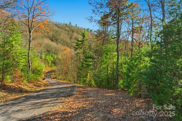 Lot 75 Peppervine Circle, Rosman, NC 28712