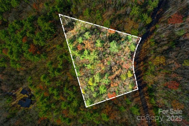 Lot 75 Peppervine Circle, Rosman, NC 28712