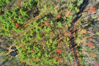 Lot 75 Peppervine Circle, Rosman, NC 28712