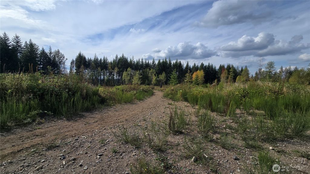 2 xxxx 170th Street E, Buckley, WA 98321