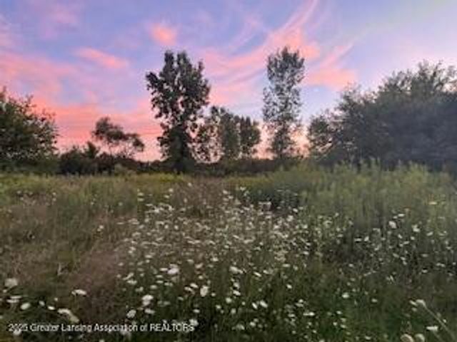 4383 W Cutler Road, Dewitt, MI 48820