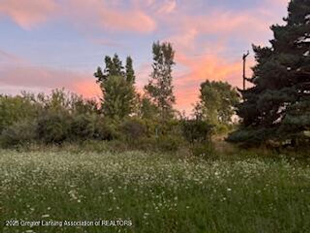 4383 W Cutler Road, Dewitt, MI 48820