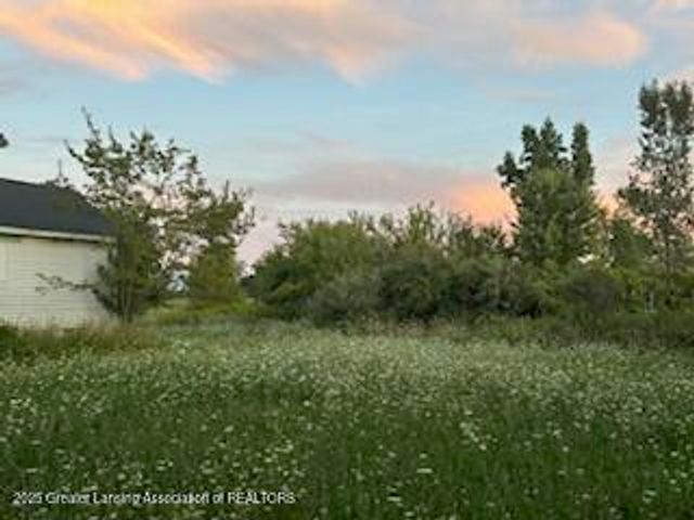 4383 W Cutler Road, Dewitt, MI 48820