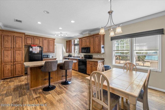 19611 Manecke Road, Brooksville, FL 34601