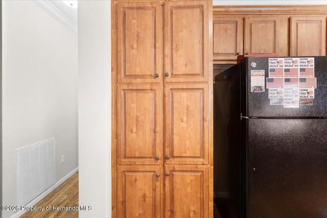 19611 Manecke Road, Brooksville, FL 34601