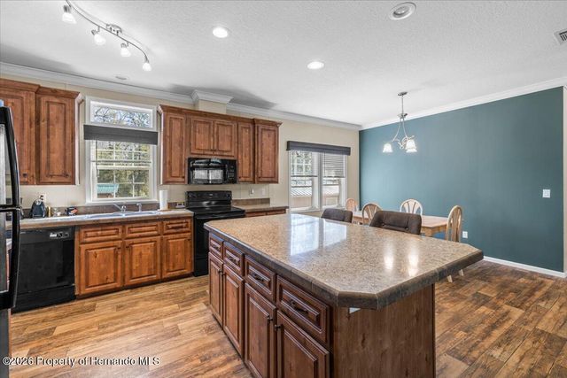 19611 Manecke Road, Brooksville, FL 34601