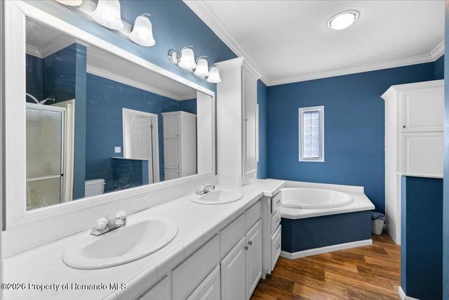 19611 Manecke Road, Brooksville, FL 34601