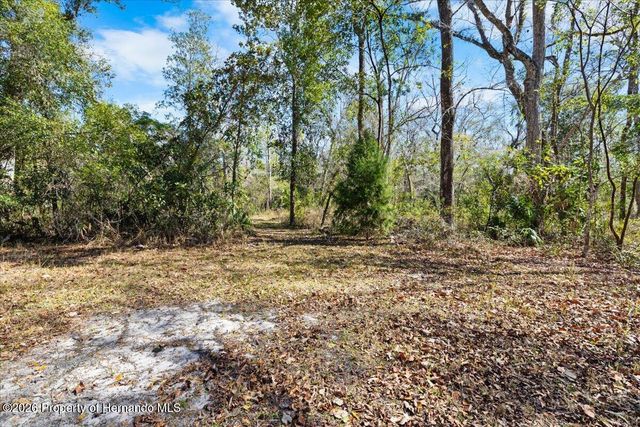 19611 Manecke Road, Brooksville, FL 34601