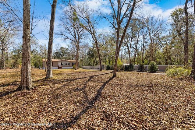 19611 Manecke Road, Brooksville, FL 34601