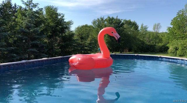 6606 Gartman Road, Orchard Park, NY 14127